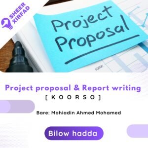 Project proposal and report writing.
